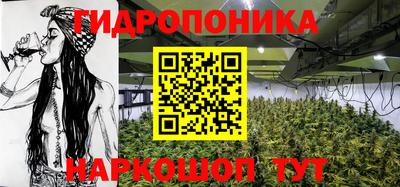 spice Краснознаменск