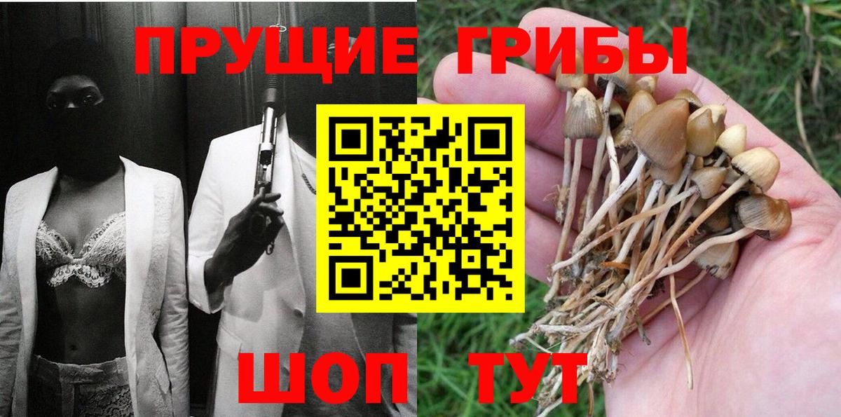 Балашов  Псилоцибиновые грибы Magic Shrooms  Галлюциногенные грибы Psilocybe  Вход с VPN 